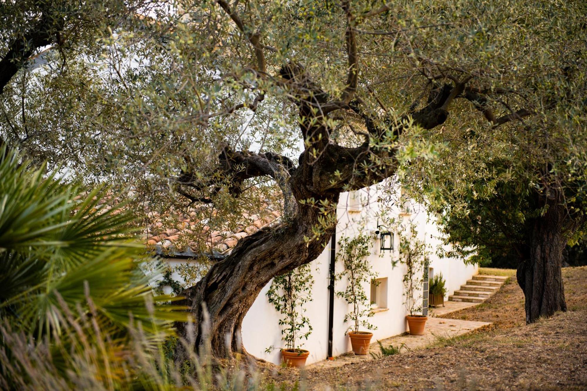 Casale Delle Lavande Читта Сань Анджело Экстерьер фото